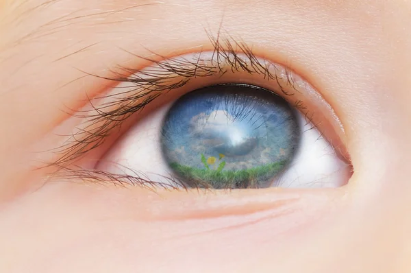 stock image Children's eye