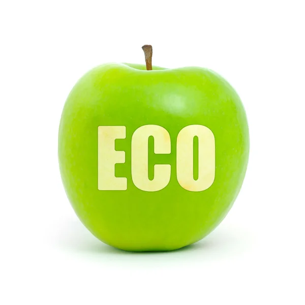 Eco slovo — Stock fotografie