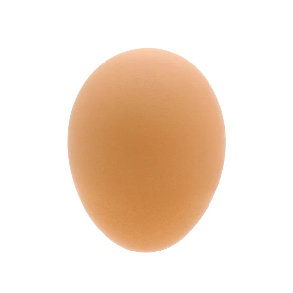 Яйце на білому — стокове фото