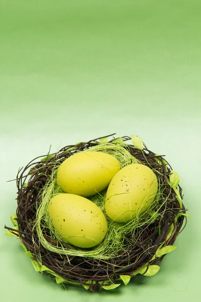 Easter Eggs in a nest — Stock Photo, Image