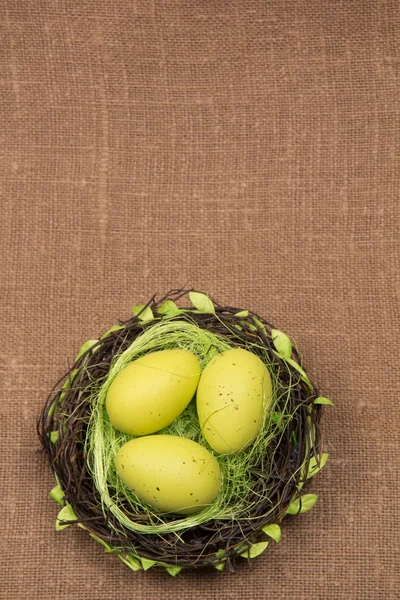 Easter Eggs in a nest — Stock Photo, Image