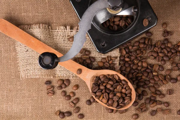Still life with a coffee beans — Stock Photo, Image