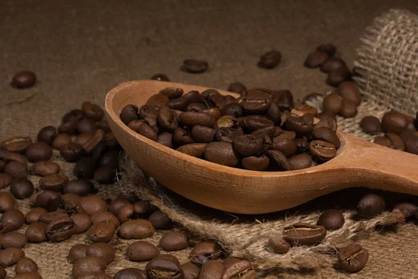 Close up view of the coffee bean — Stock Photo, Image
