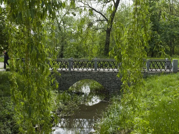 stock image Old bridge in the park