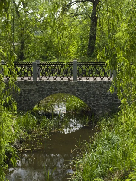 stock image Old bridge in the park