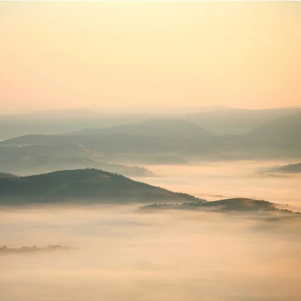 雾在山中 — 图库照片