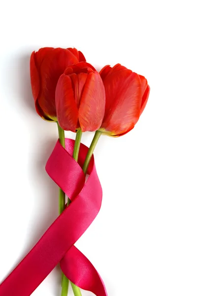Tulips with ribbon — Stock Photo, Image