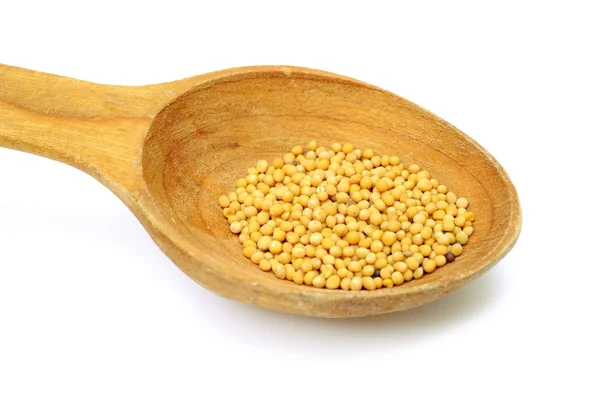 Семена горчицы на ложке — стоковое фото