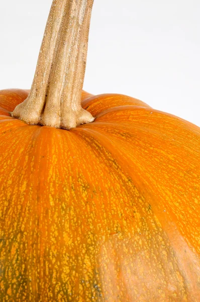 stock image Part of pumpkin