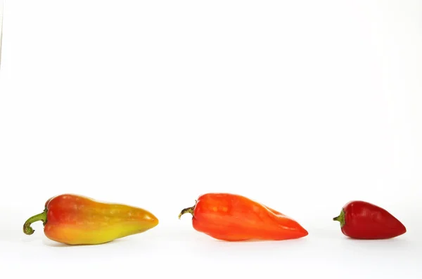 Row of peppers — Stock Photo, Image