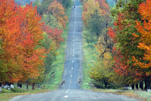 Красная дорога — стоковое фото