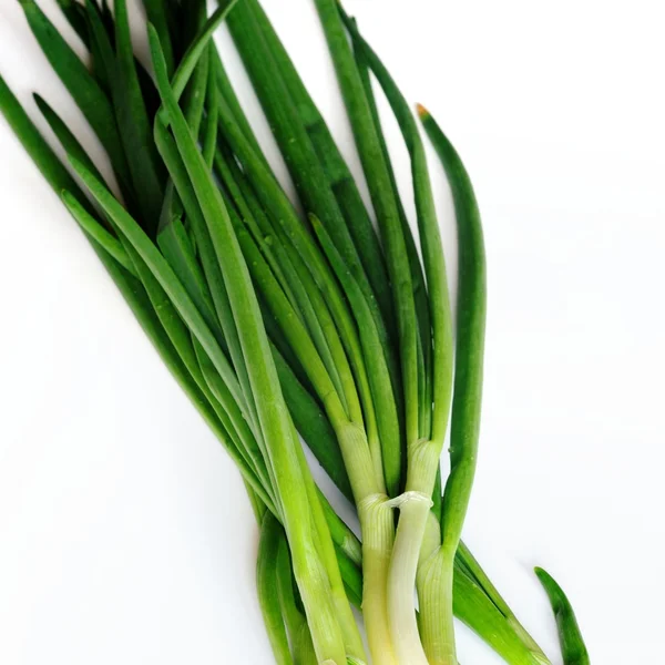 Cebolla verde —  Fotos de Stock