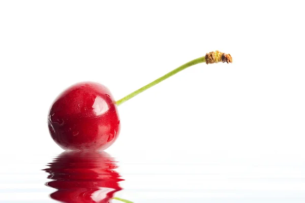 Червона ягода у воді крупним планом — стокове фото