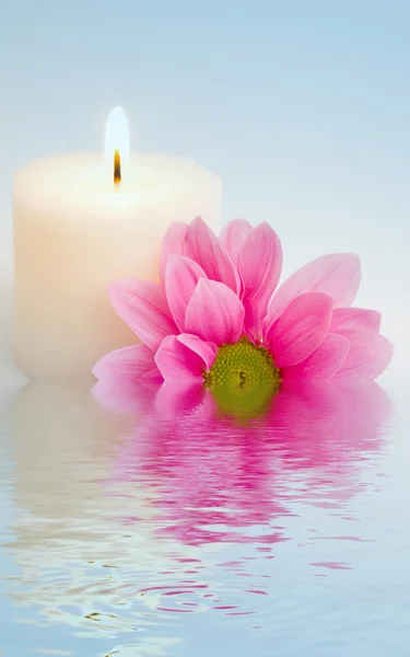 Цветок и свечи в воде — стоковое фото