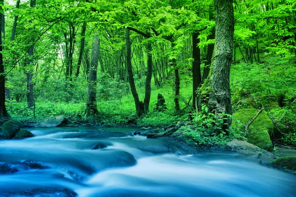 Râul în lemn — Fotografie, imagine de stoc