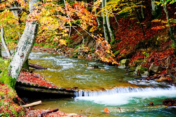 Rivière d'automne — Photo