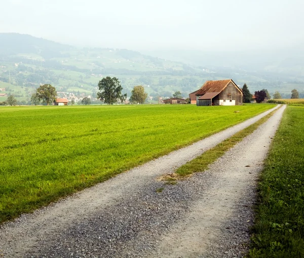 Road in the village — Stock Photo, Image