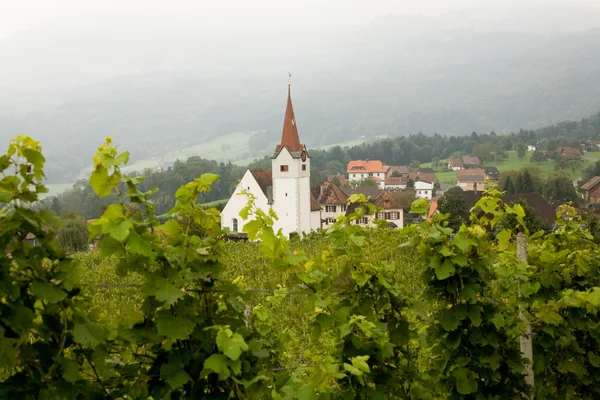 Виноградник и церковь — стоковое фото