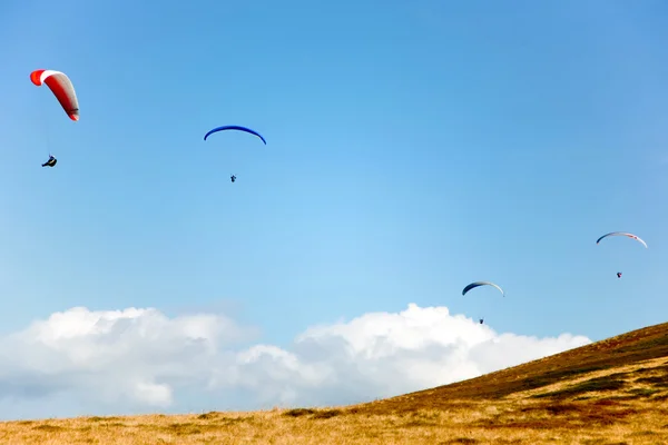 Four gliders — Stock Photo, Image
