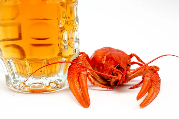 Beer and crayfish — Stock Photo, Image