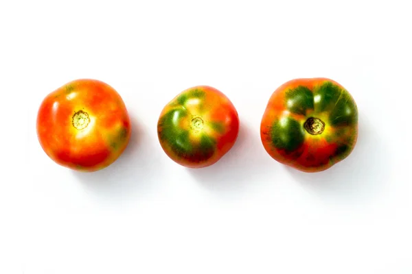 Röd-och-gröna tomater — Stockfoto
