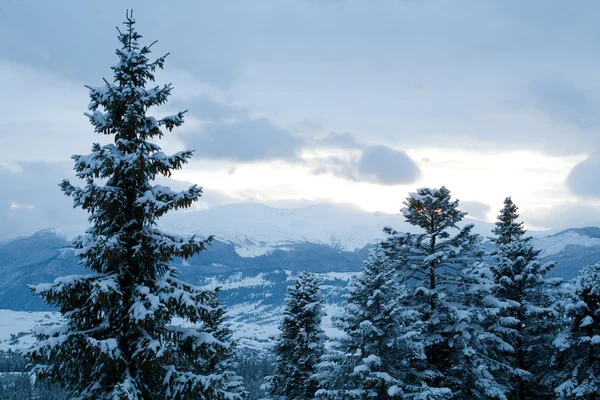 Beleza de inverno — Fotografia de Stock