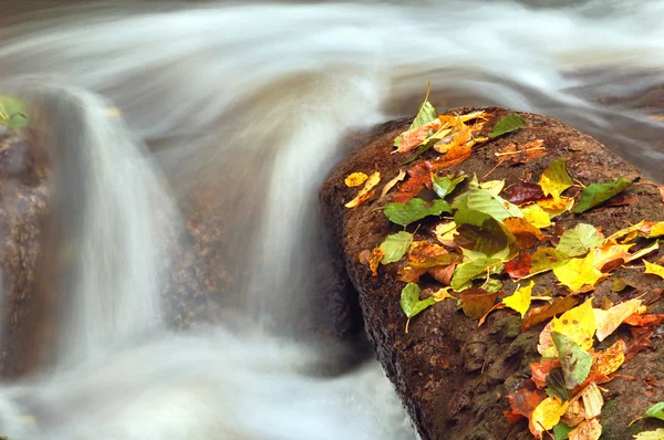 Waterfall — Stock Photo, Image