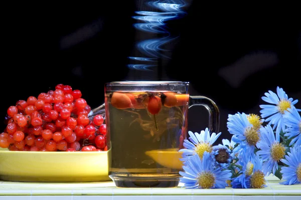 Herbs and tea — Stock Photo, Image