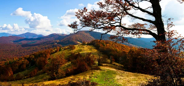 Осенние горы — стоковое фото