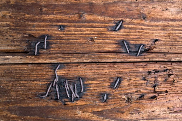 木材の釘 — ストック写真