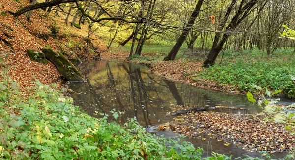 stock image River