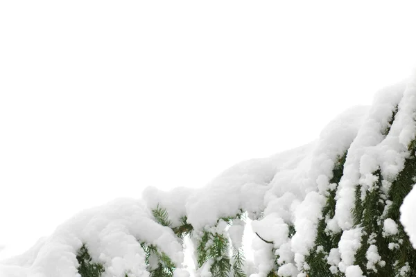 Kar örtüsü — Stok fotoğraf