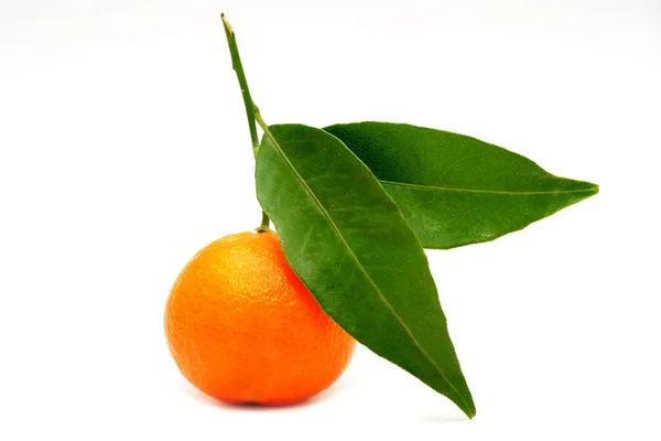 Orange mandarin with leaves — Stock Photo, Image