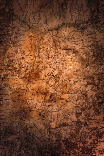 Kahverengi zemin — Stok fotoğraf