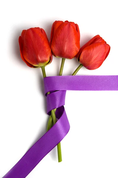 Red tulips with ribbon — Stock Photo, Image