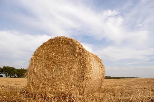 Roll of straw — Stock Photo, Image