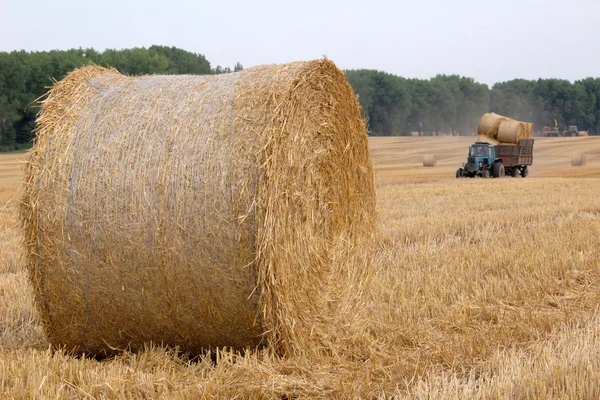 Rulo saman ve traktör — Stok fotoğraf