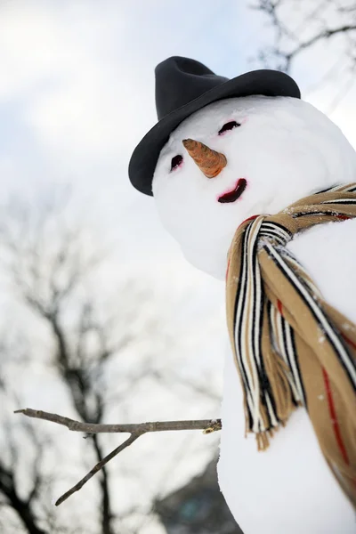 Boneco de neve em cachecol — Fotografia de Stock