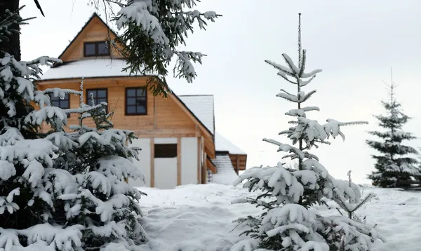 겨울 하우스 스톡 사진