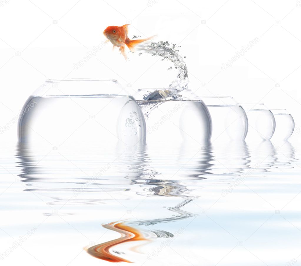 Jumper-fish