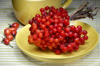 Kırmızı Kartopu çiçeği