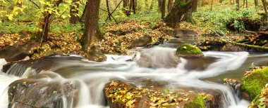 Waterfall in autumn forest clipart