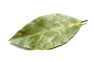 Bay leaf clipart