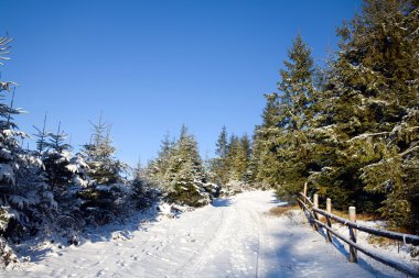 Road in winter forest clipart