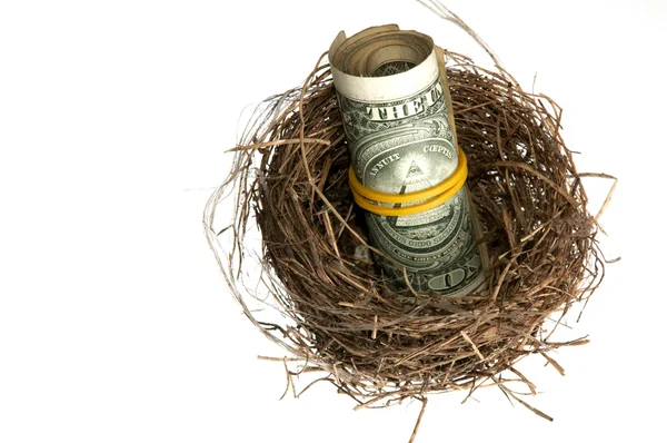 Dollar-Rolle im Nest — Stockfoto