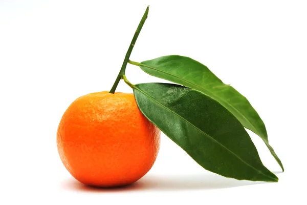 Orange mandarin with leaves — Stock Photo, Image