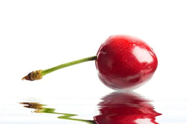 Red berry closeup — Stock Photo, Image