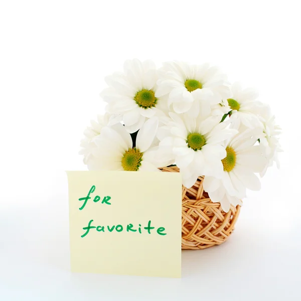 Daisies for favorite — Stock Photo, Image