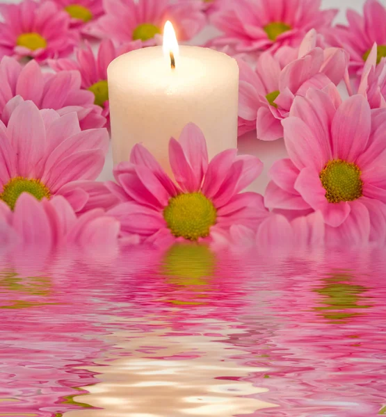 Flamme und rosa Blume — Stockfoto