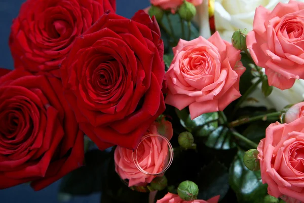 Růžové a červené růže — Stock fotografie